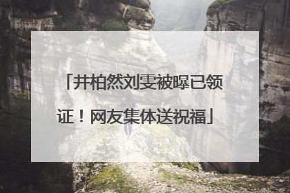 井柏然刘雯被曝已领证！网友集体送祝福