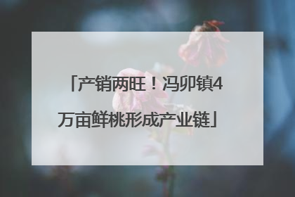 产销两旺！冯卯镇4万亩鲜桃形成产业链
