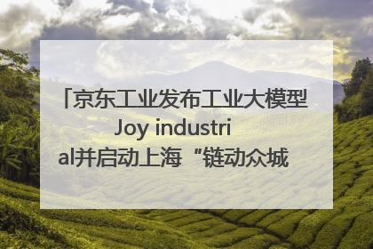 京东工业发布工业大模型Joy industrial并启动上海“链动众城 万亿降本”计划