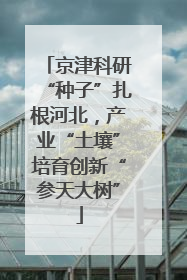 京津科研“种子”扎根河北，产业“土壤”培育创新“参天大树”