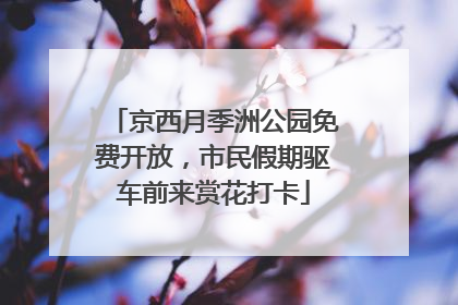 京西月季洲公园免费开放，市民假期驱车前来赏花打卡