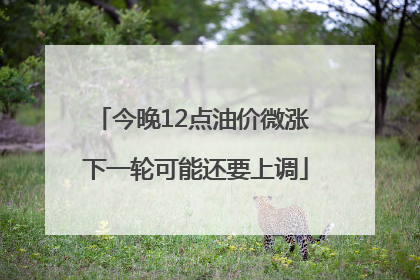 今晚12点油价微涨 下一轮可能还要上调