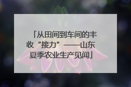从田间到车间的丰收“接力”——山东夏季农业生产见闻