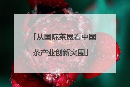 从国际茶展看中国茶产业创新突围