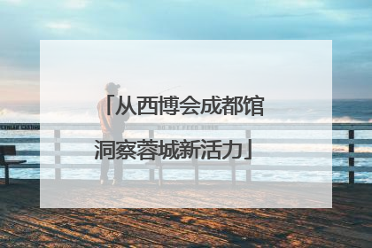 从西博会成都馆洞察蓉城新活力