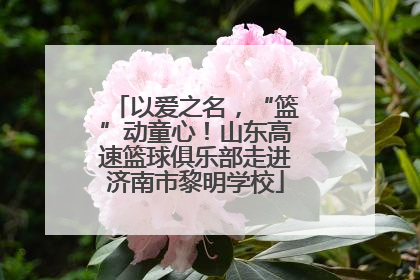 以爱之名，“篮”动童心！山东高速篮球俱乐部走进济南市黎明学校