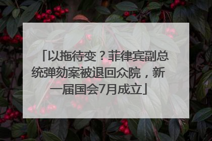 以拖待变？菲律宾副总统弹劾案被退回众院，新一届国会7月成立