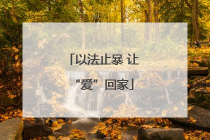以法止暴 让“爱”回家