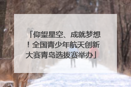 仰望星空、成就梦想！全国青少年航天创新大赛青岛选拔赛举办