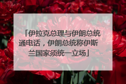 伊拉克总理与伊朗总统通电话，伊朗总统称伊斯兰国家须统一立场