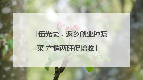 伍光豪：返乡创业种蔬菜 产销两旺促增收