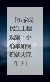 伍家岗民生工程观察：小确幸如何织就大民生？