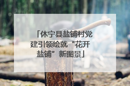 休宁县盐铺村党建引领绘就“花开盐铺”新图景