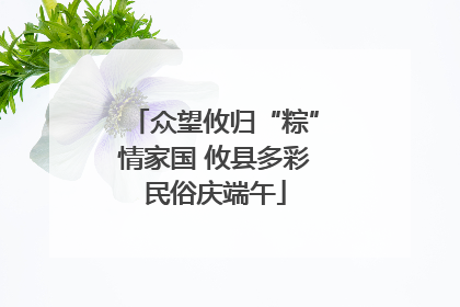 众望攸归“粽”情家国 攸县多彩民俗庆端午