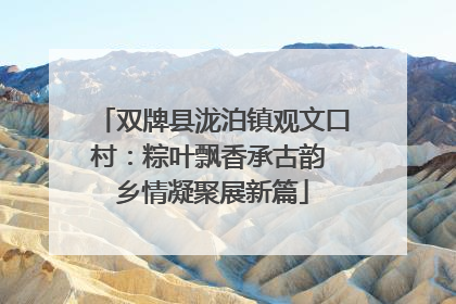 双牌县泷泊镇观文口村：粽叶飘香承古韵 乡情凝聚展新篇