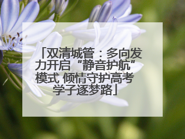 双清城管：多向发力开启“静音护航”模式 倾情守护高考学子逐梦路