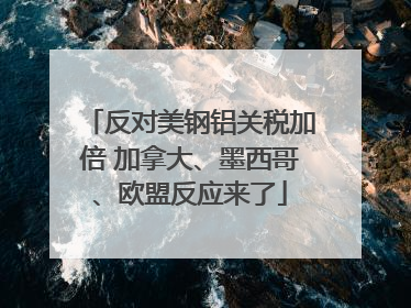 反对美钢铝关税加倍 加拿大、墨西哥、欧盟反应来了