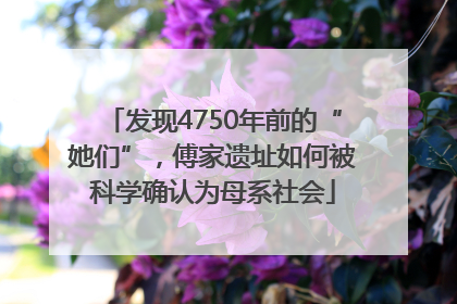 发现4750年前的“她们”，傅家遗址如何被科学确认为母系社会