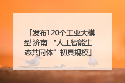 发布120个工业大模型 济南 “人工智能生态共同体”初具规模