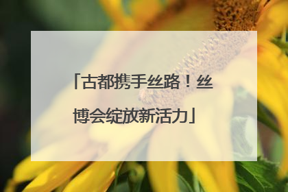 古都携手丝路！丝博会绽放新活力