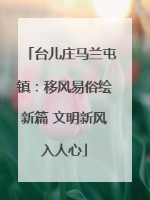 台儿庄马兰屯镇：移风易俗绘新篇 文明新风入人心