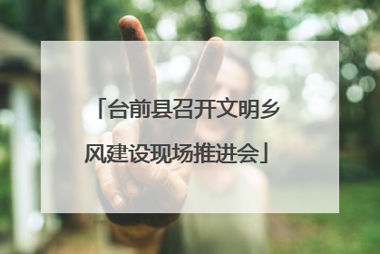 台前县召开文明乡风建设现场推进会