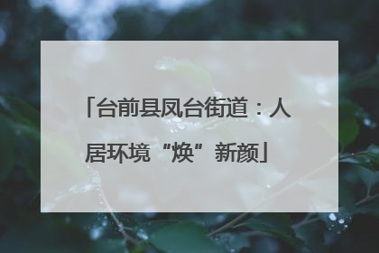 台前县凤台街道：人居环境“焕”新颜