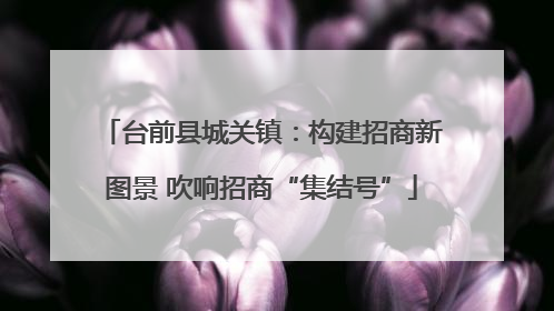 台前县城关镇：构建招商新图景 吹响招商“集结号”