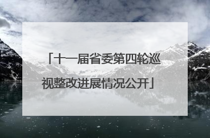 十一届省委第四轮巡视整改进展情况公开