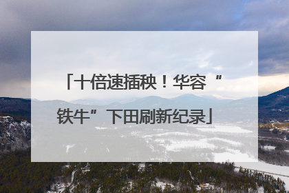 十倍速插秧！华容“铁牛”下田刷新纪录
