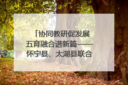 协同教研促发展 五育融合谱新篇——怀宁县、太湖县联合教研活动在月山镇中心学校成功举办