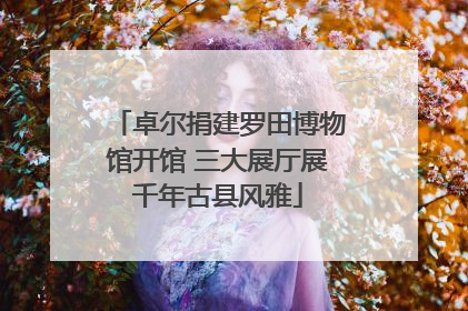 卓尔捐建罗田博物馆开馆 三大展厅展千年古县风雅