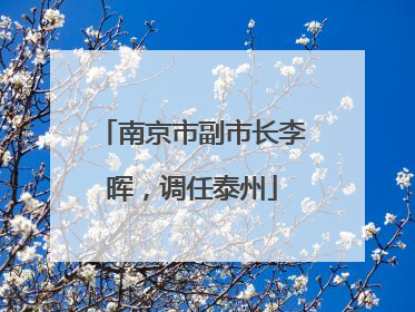 南京市副市长李晖，调任泰州