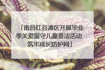 南昌红谷滩区开展毕业季关爱留守儿童普法活动 筑牢成长防护网