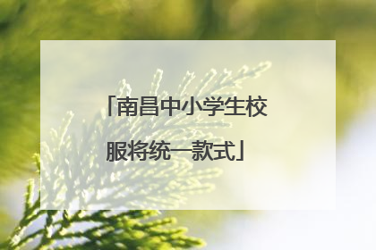 南昌中小学生校服将统一款式
