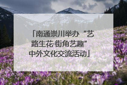 南通崇川举办“艺路生花·街角艺趣”中外文化交流活动