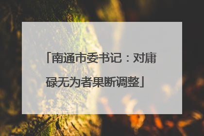 南通市委书记：对庸碌无为者果断调整