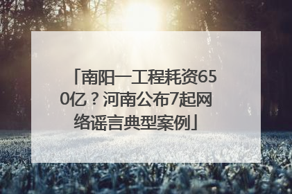 南阳一工程耗资650亿？河南公布7起网络谣言典型案例
