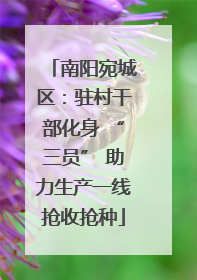 南阳宛城区：驻村干部化身 “三员” 助力生产一线抢收抢种