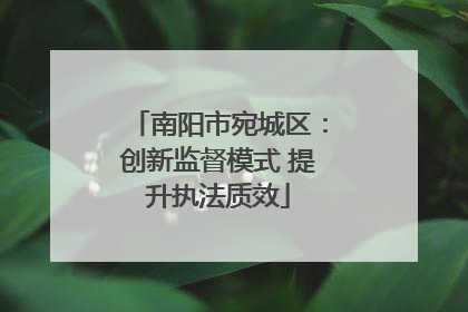 南阳市宛城区：创新监督模式 提升执法质效