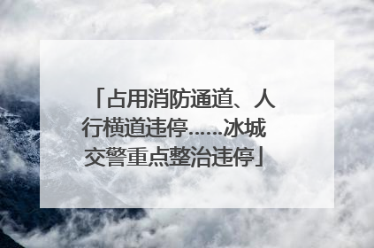 占用消防通道、人行横道违停……冰城交警重点整治违停
