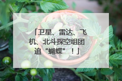 卫星、雷达、飞机、北斗探空组团追“蝴蝶”！
