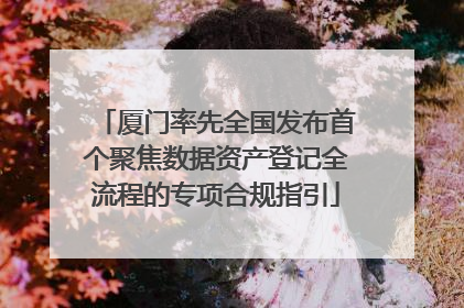 厦门率先全国发布首个聚焦数据资产登记全流程的专项合规指引