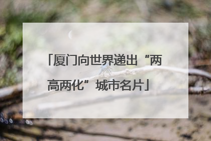 厦门向世界递出“两高两化”城市名片