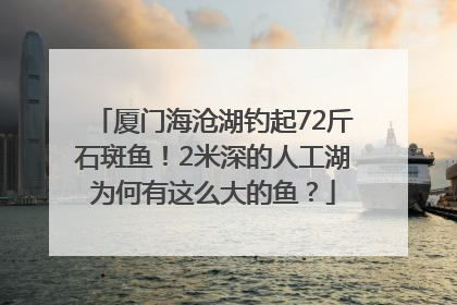 厦门海沧湖钓起72斤石斑鱼！2米深的人工湖为何有这么大的鱼？