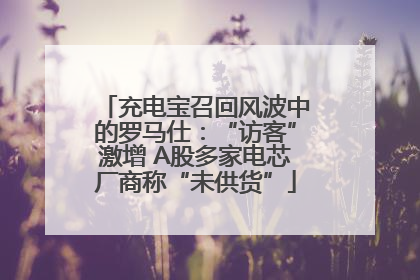 充电宝召回风波中的罗马仕：“访客”激增 A股多家电芯厂商称“未供货”