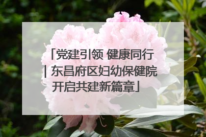党建引领 健康同行｜东昌府区妇幼保健院开启共建新篇章