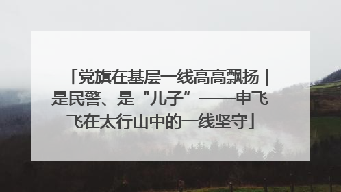 党旗在基层一线高高飘扬｜是民警、是“儿子”——申飞飞在太行山中的一线坚守
