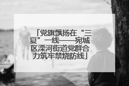 党旗飘扬在“三夏”一线——宛城区溧河街道党群合力筑牢禁烧防线