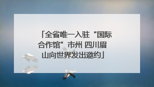 全省唯一入驻“国际合作馆”市州 四川眉山向世界发出邀约